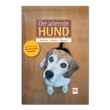 Der alternde Hund