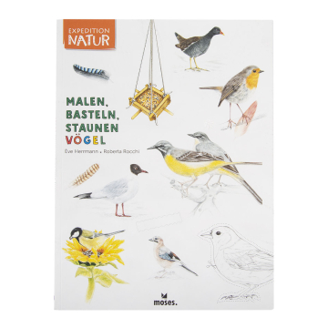 Expedition Natur: Malen, Basteln, Staunen - Insekten