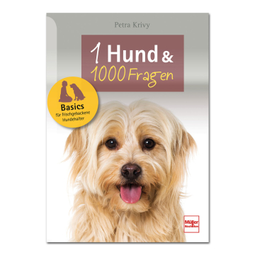 Ein Hund und 1000 Fragen - Basics für frischgebackene Hundehalter