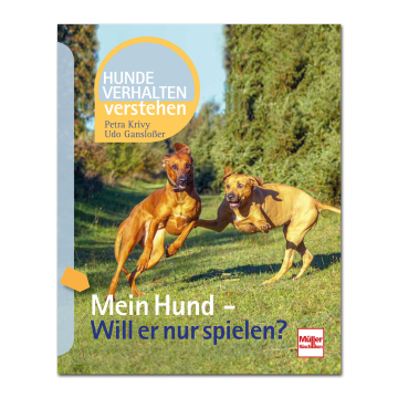 Mein Hund - Will er nur spielen?
