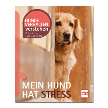 Mein Hund hat Stress