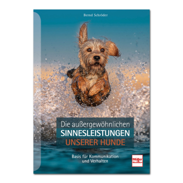 Die außergewöhnlichen Sinnesleistungen unserer Hunde