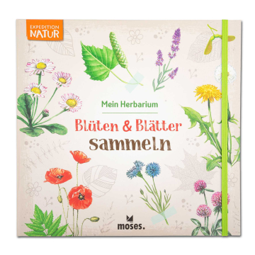 Mein Herbarium: Blüten und Blätter sammeln