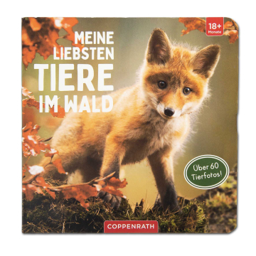 Meine liebsten Tiere im Wald
