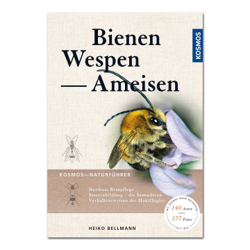 Bienen Wespen Ameisen