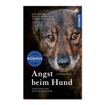 Angst beim Hund