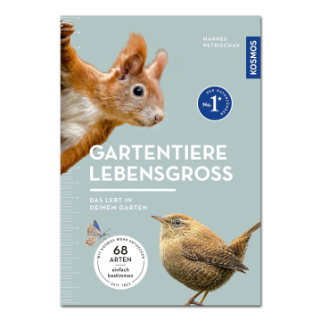 Gartentiere lebensgroß