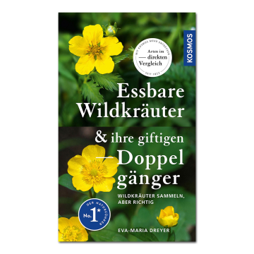 Essbare Wildkräuter und ihre giftigen Doppelgänger