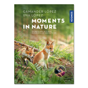 Moments in Nature