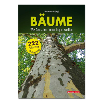 Bäume - Was Sie schon immer fragen wollten