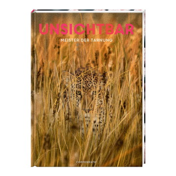 Unsichtbar