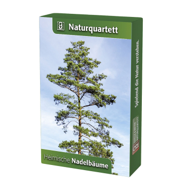 Natur-Quartett: Heimische Nadelbäume