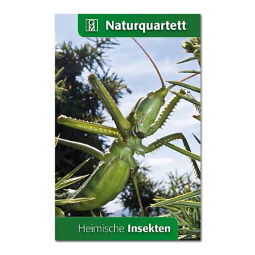 Natur-Quartett Heimische Insekten
