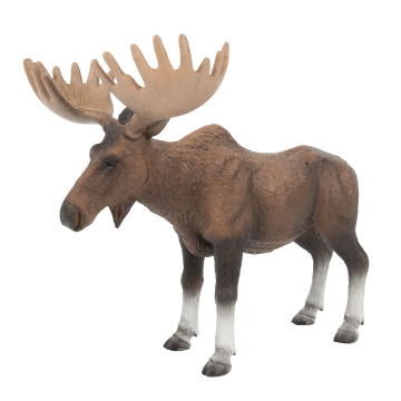 Waldtier Elch