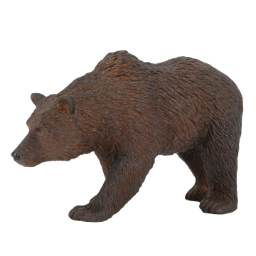 Wildtier Bär
