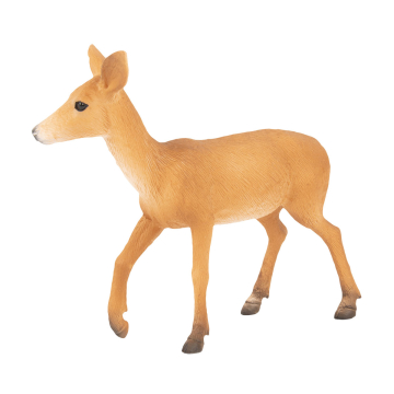 Wildtier Rotwild