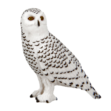 Wildtier Schneeeule