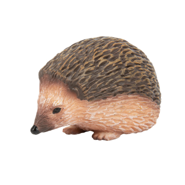Waldtier Igel