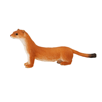 Wildtier Wiesel