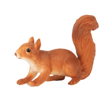Waldtier Eichhörnchen