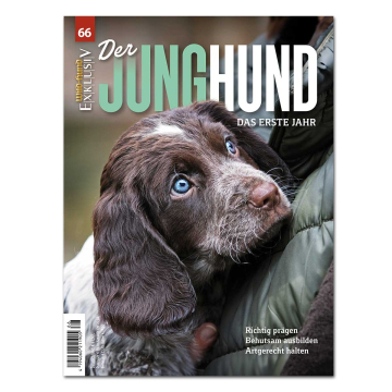 WILD UND HUND Exklusiv Nr. 66: Vom Welpen zum Jagdhund