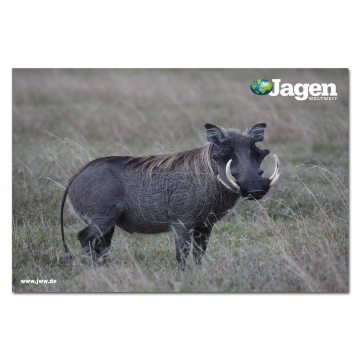 JAGEN WELTWEIT Edition: Anschuss-Scheibe Warzenschwein