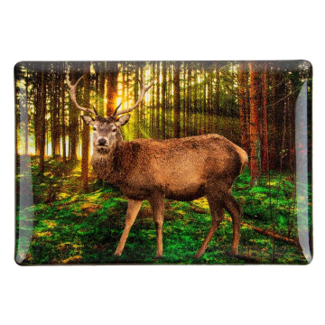 Foto-Magnet Hirsch