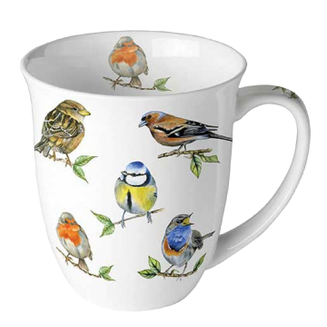 Ambiente Tasse Bird species white