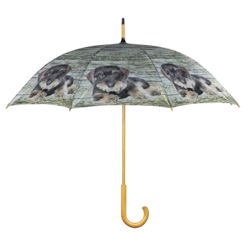 Regenschirm Dackel liegend