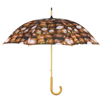 Regenschirm Motiv Kastanie