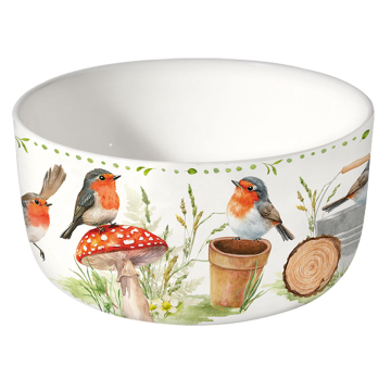 Schale Sommerrotkehlchen