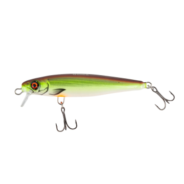 FISCH & FANG Edition: Zanderkönig Junior Pumpkin Chartreuse