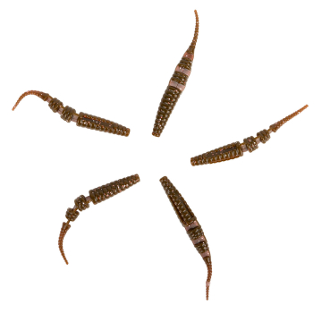 Olek-Fishing Gummiköder Special Worm V2 Tauwurm Natural UV