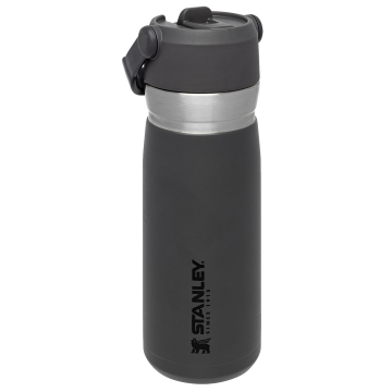 Stanley Becher 0,65 Liter Grau