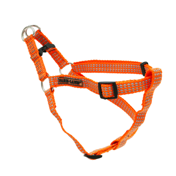 Farm-Land Hundegeschirr Orange