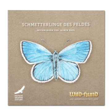 WILD UND HUND Edition: Booklet "Schmetterlinge des Feldes"