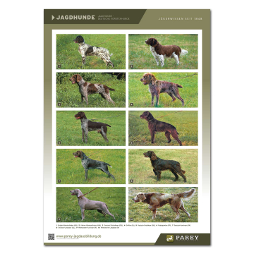 Parey Jagdausbildung Lehrtafel Jagdhunde 1