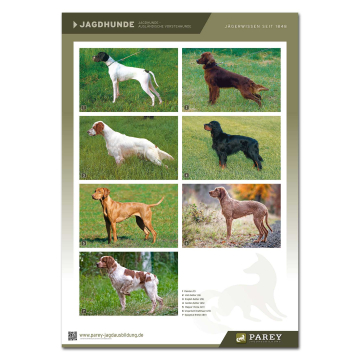 Parey Jagdausbildung Lehrtafel Jagdhunde 2