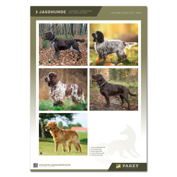 Parey Jagdausbildung Lehrtafel Jagdhunde 3