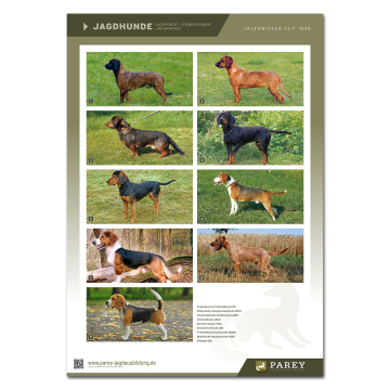 Parey Jagdausbildung Lehrtafel Jagdhunde 4