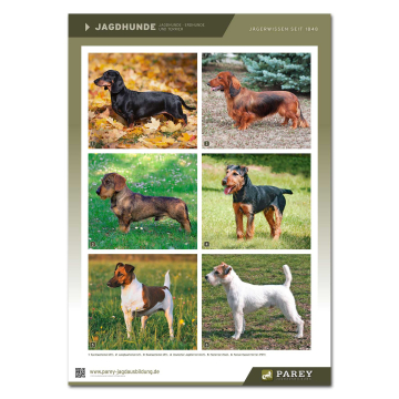 Parey Jagdausbildung Lehrtafel Jagdhunde 5