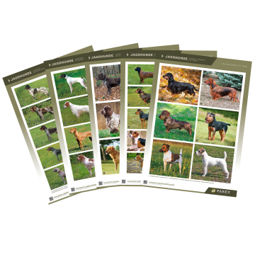 Parey Jagdausbildung: Lehrtafel Set Hunde