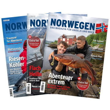 Norwegen-Magazin Set