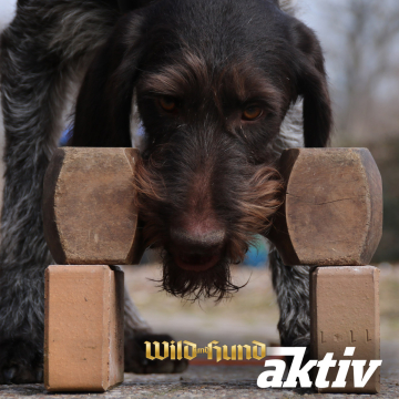Grundlagen Apport mit Anke und Theodor Heßling