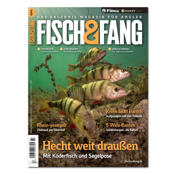 FISCH & FANG Kurzabo + Prämie