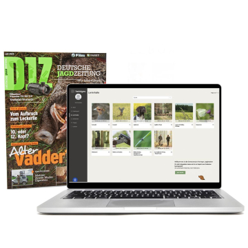 DEUTSCHE JAGDZEITUNG Jahresabo E-Paper + Heintges Jagdtrainer