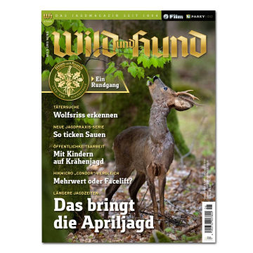 Wild und Hund 2026/06