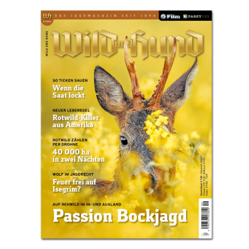Wild und Hund 2026/09
