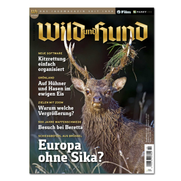 Wild und Hund 2026/10