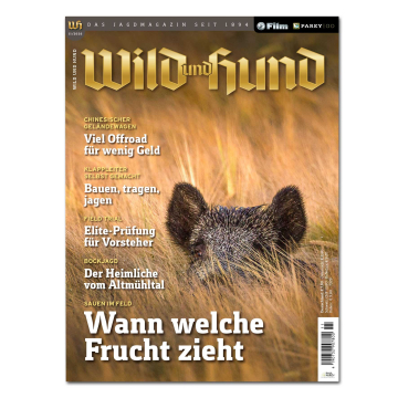 Wild und Hund 2026/11